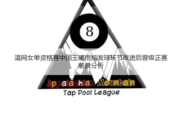 wen-wang-nv-dan-zi-ge-sai-zhong-guo-wang-xi-yu-jie-fa-qiu-huan-jie-gai-jin-hou-jin-ji-zheng-sai-qian-jing-fen-xi-2-482.jpg