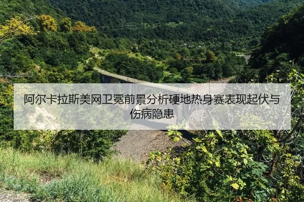 a-er-ka-la-si-mei-wang-wei-mian-qian-jing-fen-xi-ying-di-re-shen-sai-biao-xian-qi-fu-yu-shang-bing-yin-huan-2-128.jpg